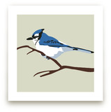 Blue Bird Art Prints
