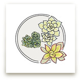 Succulent Love Series Art Prints