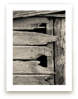 Salvage - Barn Series 1 Art Prints