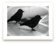 on wing - silhouette Art Prints
