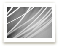 Go with the flow Art Prints