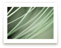 Go with the flow Art Prints