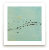 Geese, Lake Ontario Art Prints