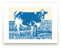 Petaluma Cow Art Prints