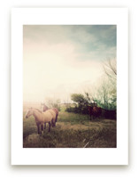 Horses at Dusk Art Prints