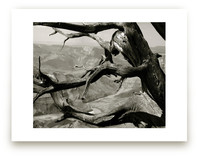 Grand Canyon Serenity Art Prints