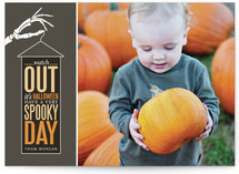 Skeleton in the Closet Halloween Cards