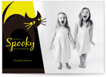 Black Cat Halloween Cards