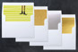 Slip-In Envelope Liners