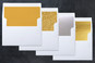 Slip-In Envelope Liners