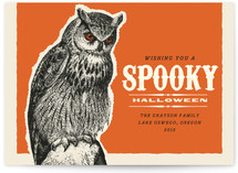 Owl Be There for You on Halloween Halloween Cards