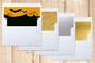 Slip-In Envelope Liners