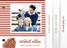 Stripes and Pine Holiday Minibook&trade; Cards