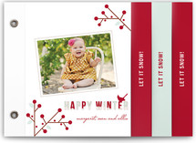 winter berries Holiday Minibook&trade; Cards