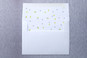 Slip-In Envelope Liners