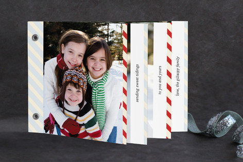 twine and marble Holiday Minibooks