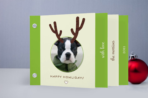 Reinpet Holiday Minibooks