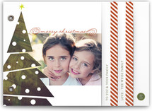 The Tree Holiday Minibook&trade; Cards