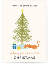 A Purrrfect Christmas Holiday Non-Photo Cards