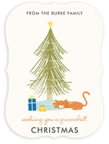 A Purrrfect Christmas Holiday Non-Photo Cards
