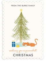 A Purrrfect Christmas Holiday Non-Photo Cards