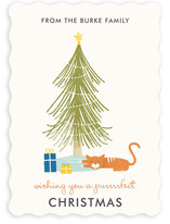 A Purrrfect Christmas Holiday Non-Photo Cards