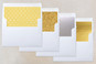 Slip-In Envelope Liners