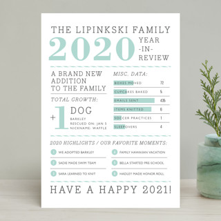 Year in Review Holiday Non-Photo Cards