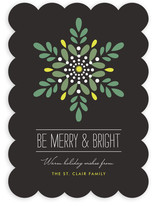 Luminosity Holiday Non-Photo Cards