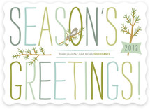 Branch and Bird Holiday Non-Photo Cards