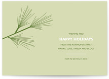 Pine Branch Holiday Non-Photo Cards