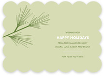 Pine Branch Holiday Non-Photo Cards