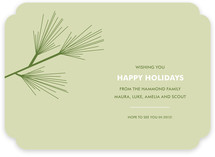 Pine Branch Holiday Non-Photo Cards