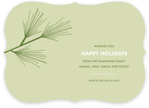 Pine Branch Holiday Non-Photo Cards