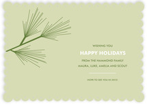 Pine Branch Holiday Non-Photo Cards