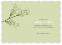 Pine Branch Holiday Non-Photo Cards