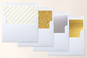 Slip-In Envelope Liners