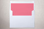 Slip-In Envelope Liners