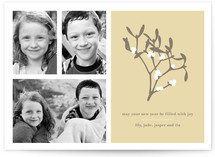 Mistletoe Wishes New Year's Photo Cards