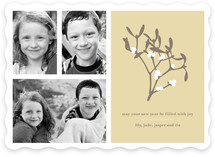 Mistletoe Wishes New Year's Photo Cards