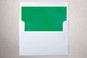 Slip-In Envelope Liners