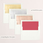 Slip-In Envelope Liners