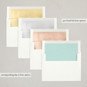 Slip-In Envelope Liners