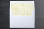 Slip-In Envelope Liners