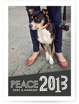Vernacular New Year's Photo Cards