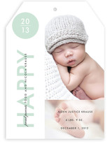 Baby New Year's Photo Cards