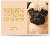 Brand New Shiny New Year's Photo Cards