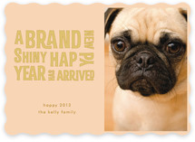 Brand New Shiny New Year's Photo Cards
