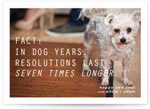 Dog Years New Year's Photo Cards