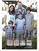 Seasons Rotation New Year's Photo Cards